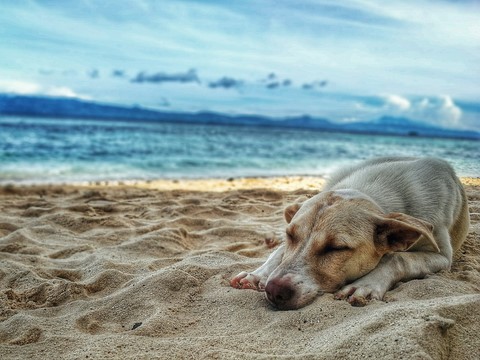 Bonnes vacances